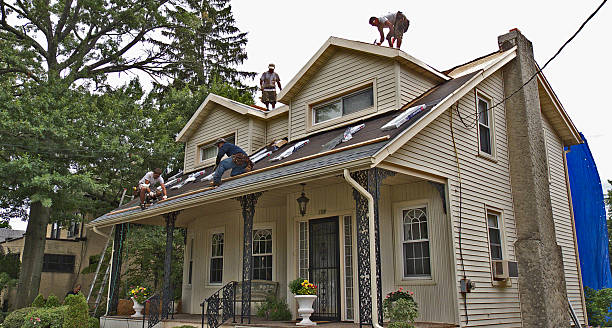 Best Roof Maintenance Services  in Elk Rapids, MI